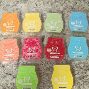 Private Bundle For @Scentsy Wax Melts Collection - Vibrant Hues